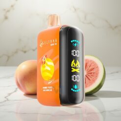 ELF BAR RAYA D3 25000 Sõnge Mang Oad-Arbuus Lahtisestev Vape