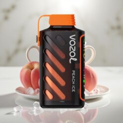 VOZOL Gear Power 20000 S.i.L.C. Tech 20mL VirsikuJää